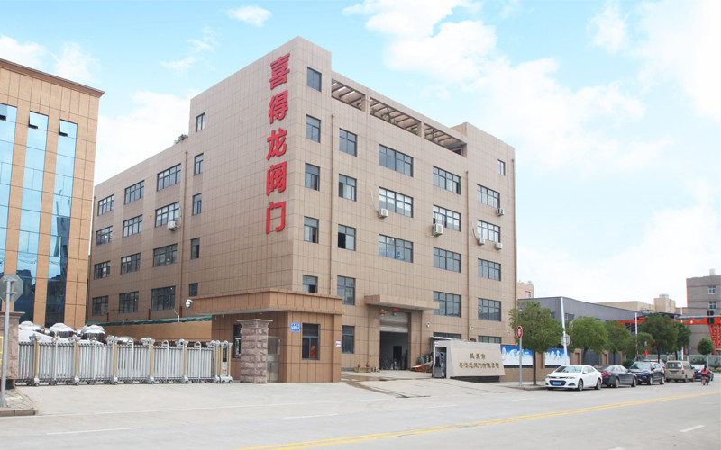 الصين Wenzhou Xidelong Valve Co. LTD ملف الشركة