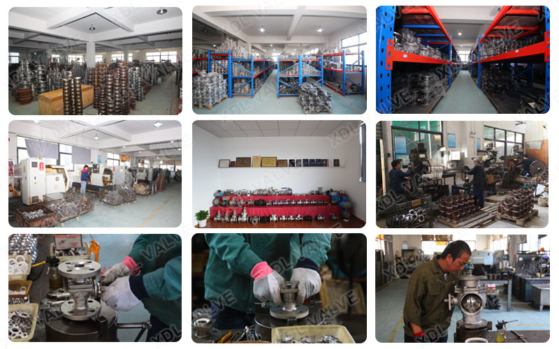 الصين Wenzhou Xidelong Valve Co. LTD ملف الشركة