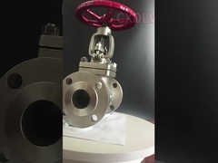 PTFE Gasket 150LB Handwheel SS 3 Inch Globe Valve