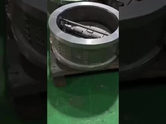 صمام فحص صفيحة مزدوجة