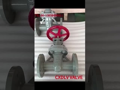 صمام بوابة الجذع غير المرتفع PN16