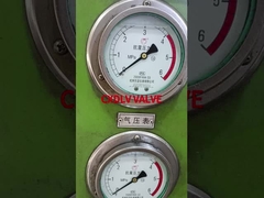 اختبار ضغط صمام الكرة من الفولاذ المقاوم للصدأ للرقاقة، ساق عارية، PN16