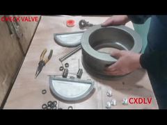 تجميع صمام فحص مزدوج اللوحة من نوع Wafer