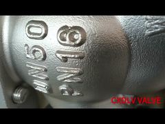 DN50 DN80 DN100 الفولاذ المقاوم للصدأ الكرة توقف رفع صمام التحقق فلاش اتصال نمط