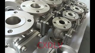 وصلة ذات حواف لصمام فحص التأرجح H44W