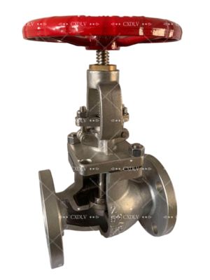 صمام بوابة العجلة اليدوية المرتفع مع 150LB من الفولاذ المقاوم للصدأ CF8M النهايات الفلنج لمراقبة السائل وسهولة التشغيل